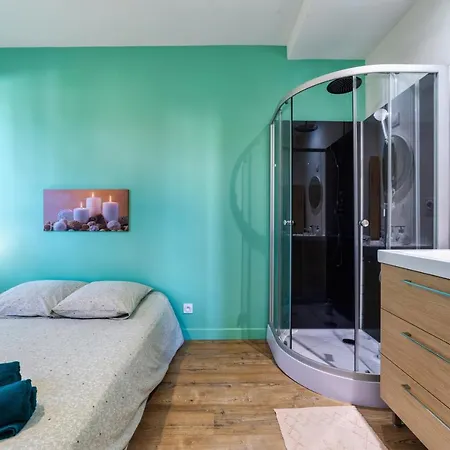 Coconut Palm Luxury Apartment Toulouse