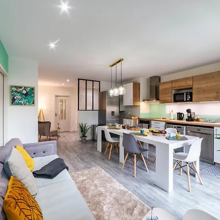 Apartment Coconut Palm Luxury Toulouse
