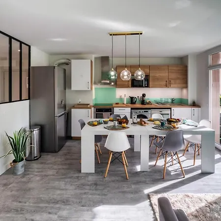 Apartment Coconut Palm Luxury Toulouse